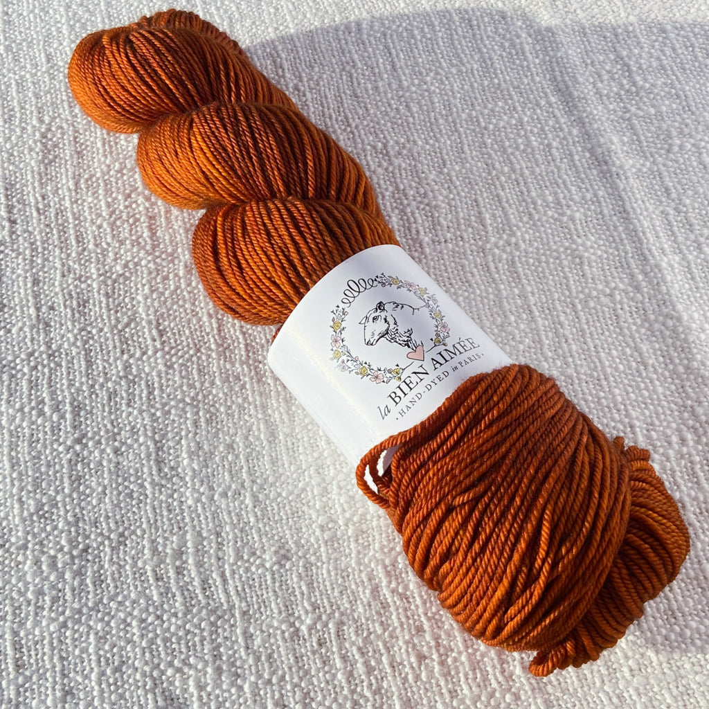 An image of a skein of DK weight yarn in a rust orange color with a white ‘La Bien Aimee’ label against a canvas background.
