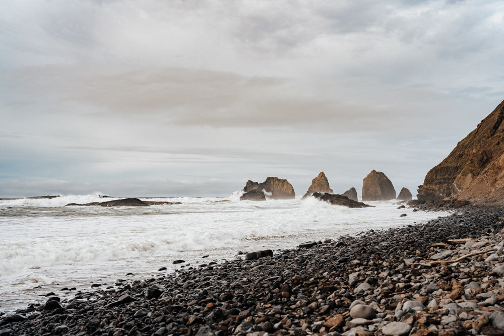 LAST CHANCE - Salt & Timber: Knits from the Northern Coast by Lindsey Fowler