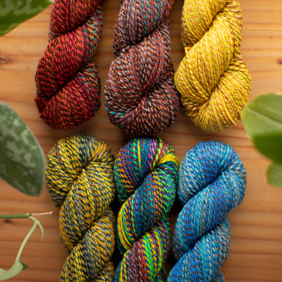Multiple skeins of Spincycle Yarns in various colors arranged on a wooden surface with leaves scattered around.