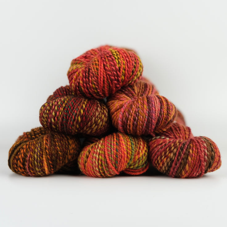 Skeins of Spincycle Dyed in the Wool sport weight yarn in a brown, red, and orange color gradient against a white background.