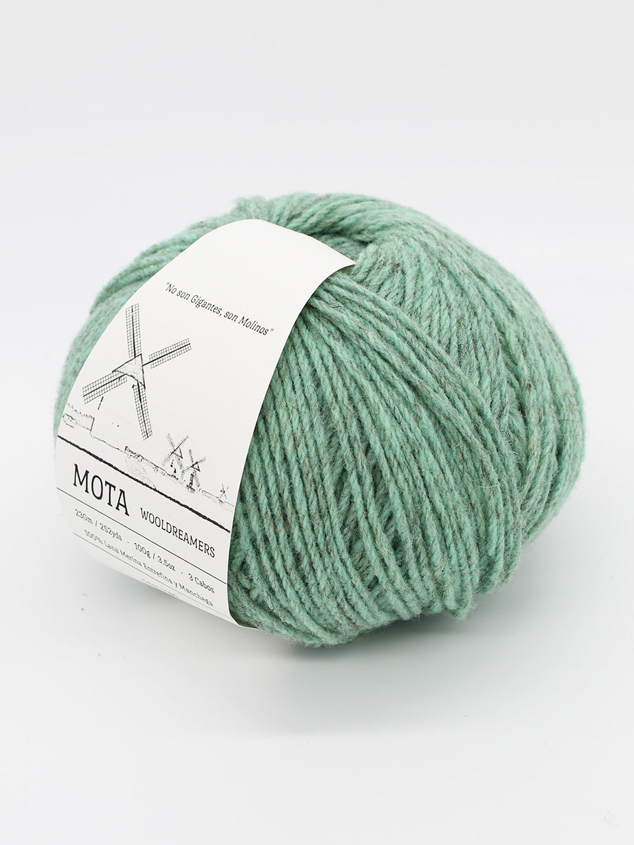 A skein of heathered mint green yarn on a white background.