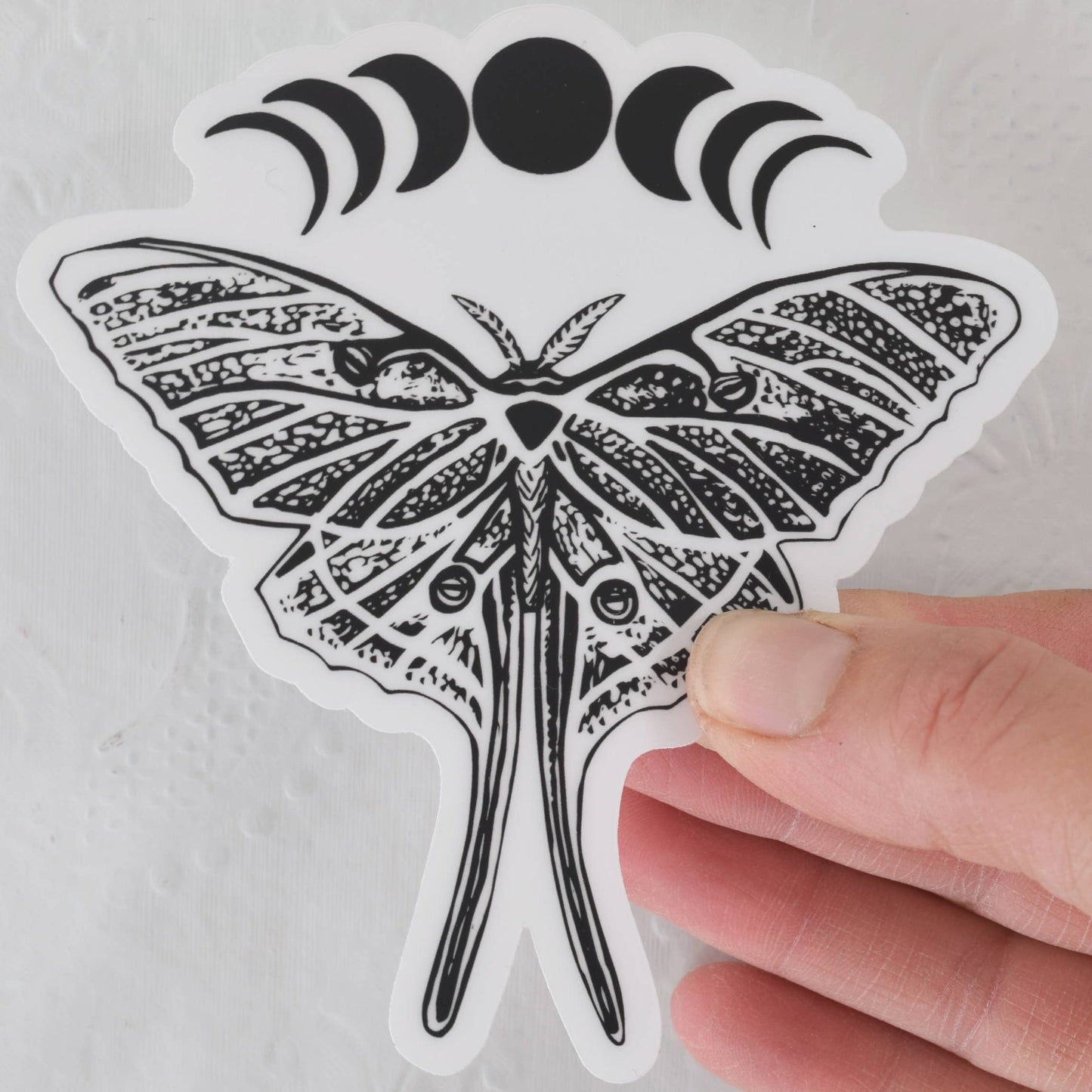 Luna Moth Stickers - Vinyl Decal - 4" Wide