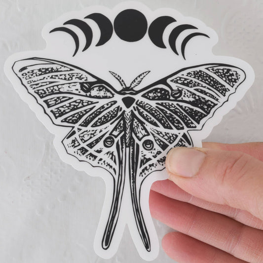 Luna Moth Stickers - Vinyl Decal - 4" Wide